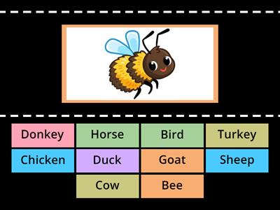 Farm Animals - Unit 5 - Team Together 2