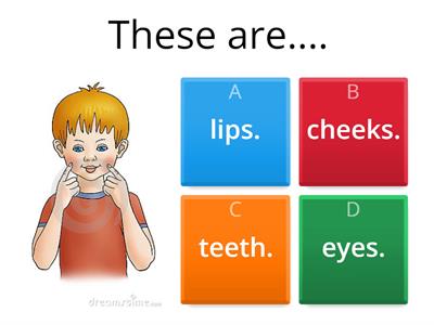 Parts of the face.