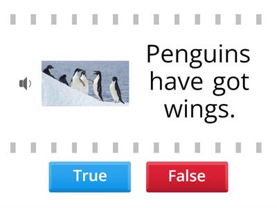 Rooftops 3 - U5 - L9 - True or False