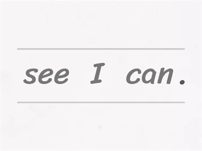 SIPPS Beginning Lesson 11 "We Can See"