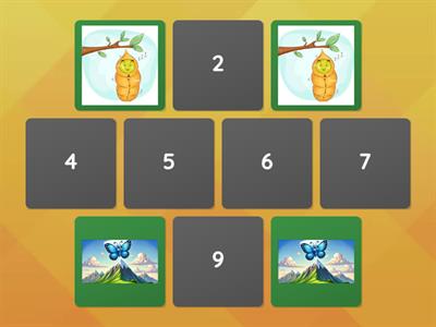 SANDRA - IL BRUCO E LA FARFALLA