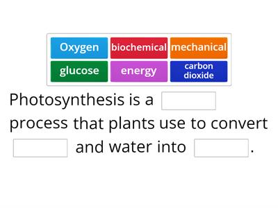 junior cert sciencePhotosynthesis Missing Word