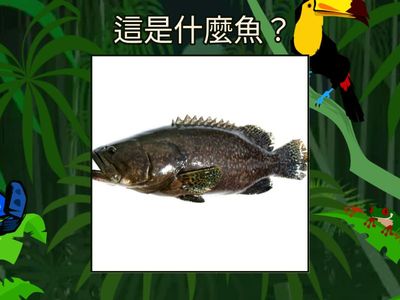 彌中冷知識－家順