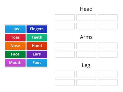 ESL L1: Body Parts Sort