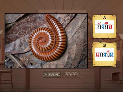 คำศัพท์สระอือ K2