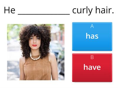 Physical Description have/has