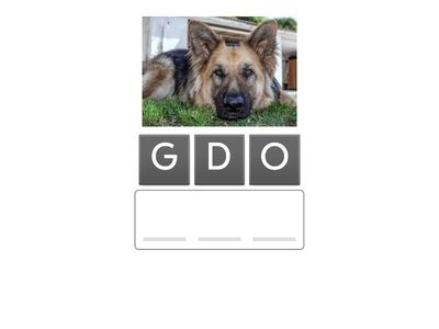 UNSCRAMBLE PET VOCABULARY