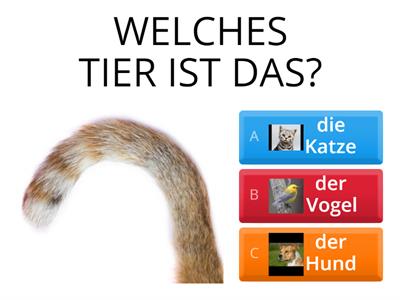 TIERE DAF Quiz