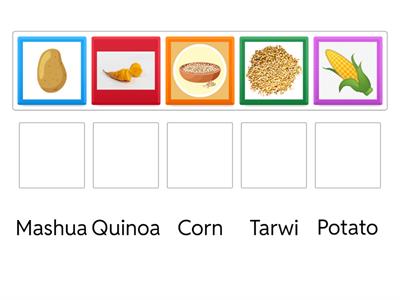 Math the words and pictures