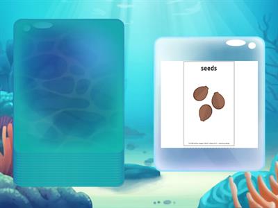 spring speaking cards