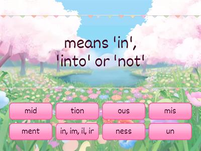 Morphology Retreiveal: Year 3 2024