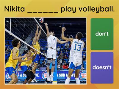 Present Simple (affirmative, negative, questions)