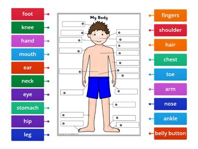 Parts of the body