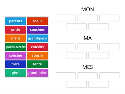 Adjectifs possessifs - membres de famille