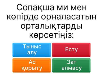 Сопақша ми және оның қызметі