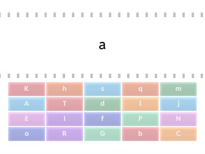 Find the Match Capital and Lowercase Letter