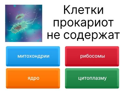 7 класс биология клетка