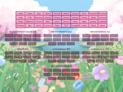 РОД существительных