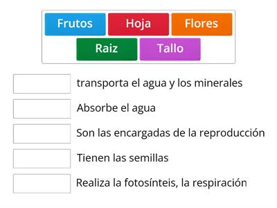 las funciones de las partes de la planta