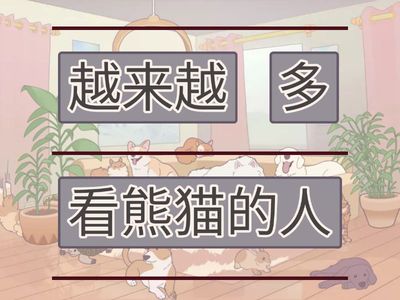 Kuaile Hanyu 3 lesson 16 collocations expanded 1