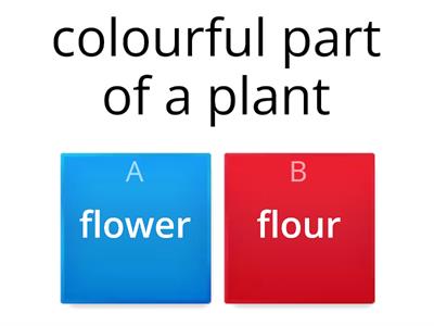 Homophones for L1 ESOL