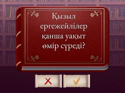 Без названия2