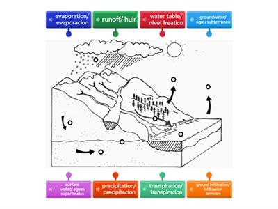 Groundwater & Surface Water Diagram