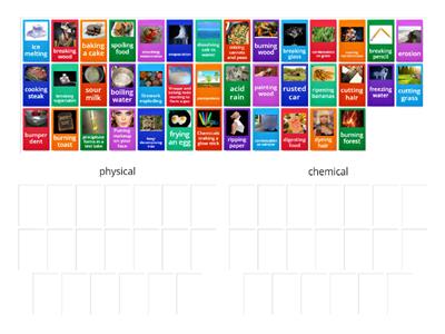 Physical and Chemical Changes