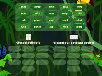 Just Words Unit 2-Closed syllable vs or Closed Exception?