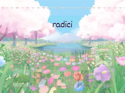  le piante e le radici.