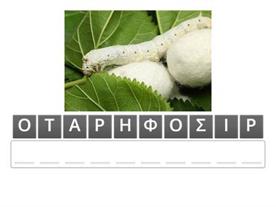 ΖΩΙΚΗ ΠΑΡΑΓΩΓΗ