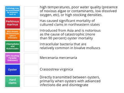 Introduction to Infectious Diseases in Molluscan Aquaculture