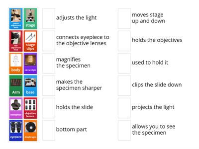 Parts of a microscope