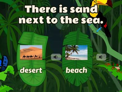 Quiz geographical features