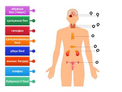 Кончает пизду