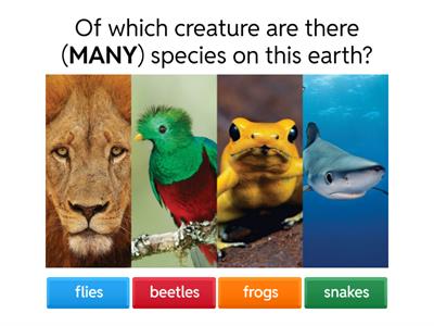 Superlative adjectives - quiz - student B