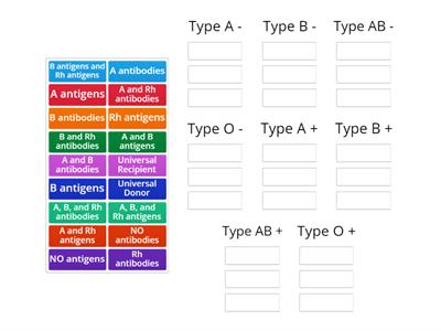 Blood Types