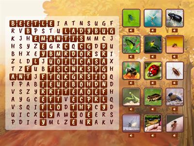 Wondering Minds: I wanna catch a bug! #3