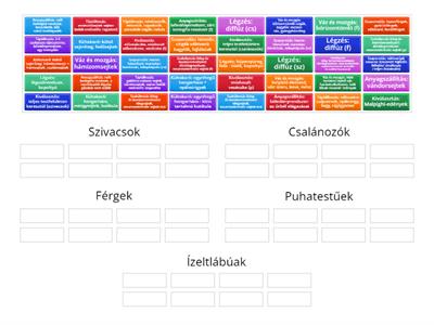 Gerinctelen állatok