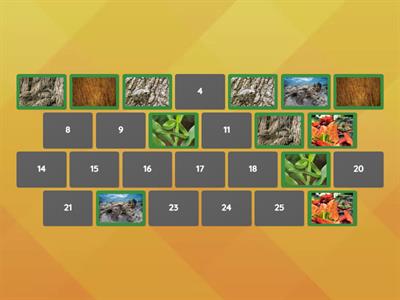 Camouflage Animals Memory Game