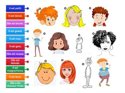  Description physique