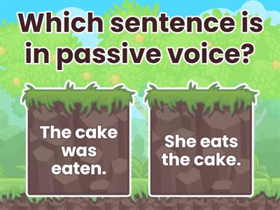 Passive Voice Quiz