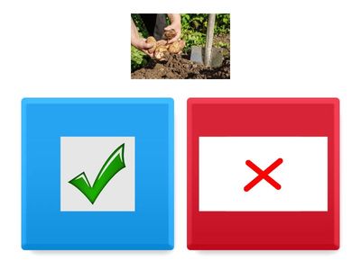 Праця людей восени,обери роботу що люди виконують осінню.