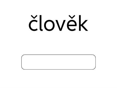 Množné číslo - substantiva Ma ČJ