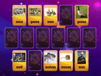 Irregular plural nouns