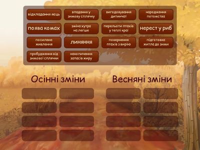 Зміни у житті тварин