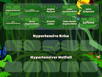 Unterscheidung hypertensive Krise und hypertensiver Notfall