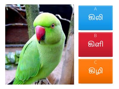 ளி - Mark the correct word / சரியான சொல்லைக் குறியிடு