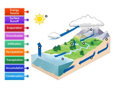 Water Cycle Labeled Diagram