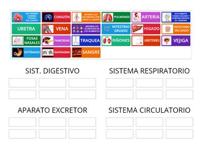 FUNCION DE NUTRICION